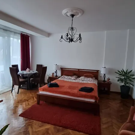 Apartment Toma Boutique Brasov