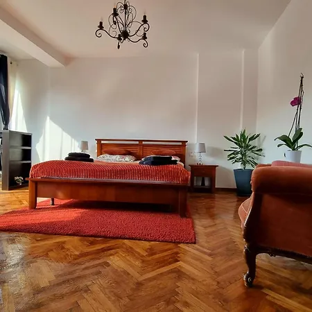 Toma Boutique Brasov