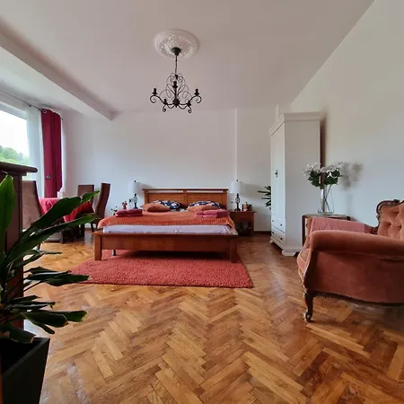 Apartment Toma Boutique Brasov