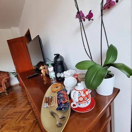 Apartment Toma Boutique Brasov